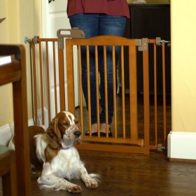 One Touch Gate II Wide (Option: Touch Gate II in Brown)