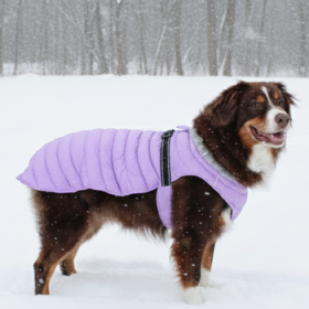 Alpine Extreme Cold Puffer Coat - Pink Peacock (Option: Medium)