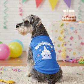 NEW - Birthday Boy Tank Shirt (Option: Small)