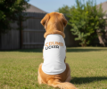NEW - Crumb Licker Dog Shirt - White