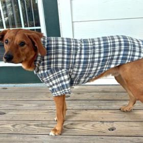 Flannel Dog Shirt - Grey and Blue Plaid (Option: X-Small)