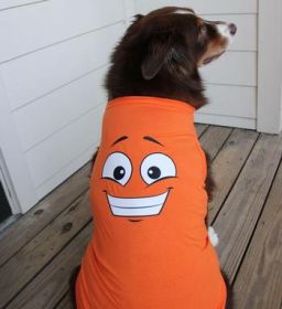 NEW - Happy Face Dog Shirt - Sunset Orange (Option: X-Large)