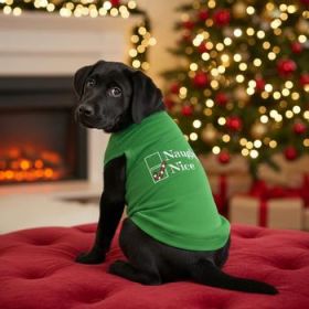 NEW - Nice Dog Shirt - Green (Option: 3X-Large)