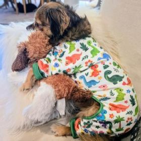 Soft Dog Pajamas - Dinos (Option: X-Small)