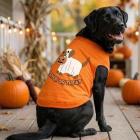 NEW - Trick or Treat Pup Dog Shirt - Sunset Orange (Option: X-Small)