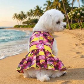 Tropical Sunset Dress (Option: Small)