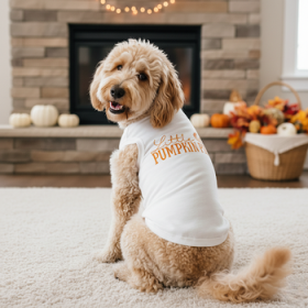 NEW - Little Pumpkin Pie Dog Shirt - White (Option: X-Small)